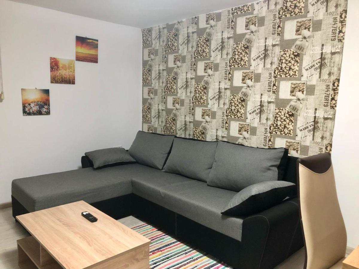Central Park - Big Apartment - 3 Rooms - Free Parking T5 Timişoara Buitenkant foto