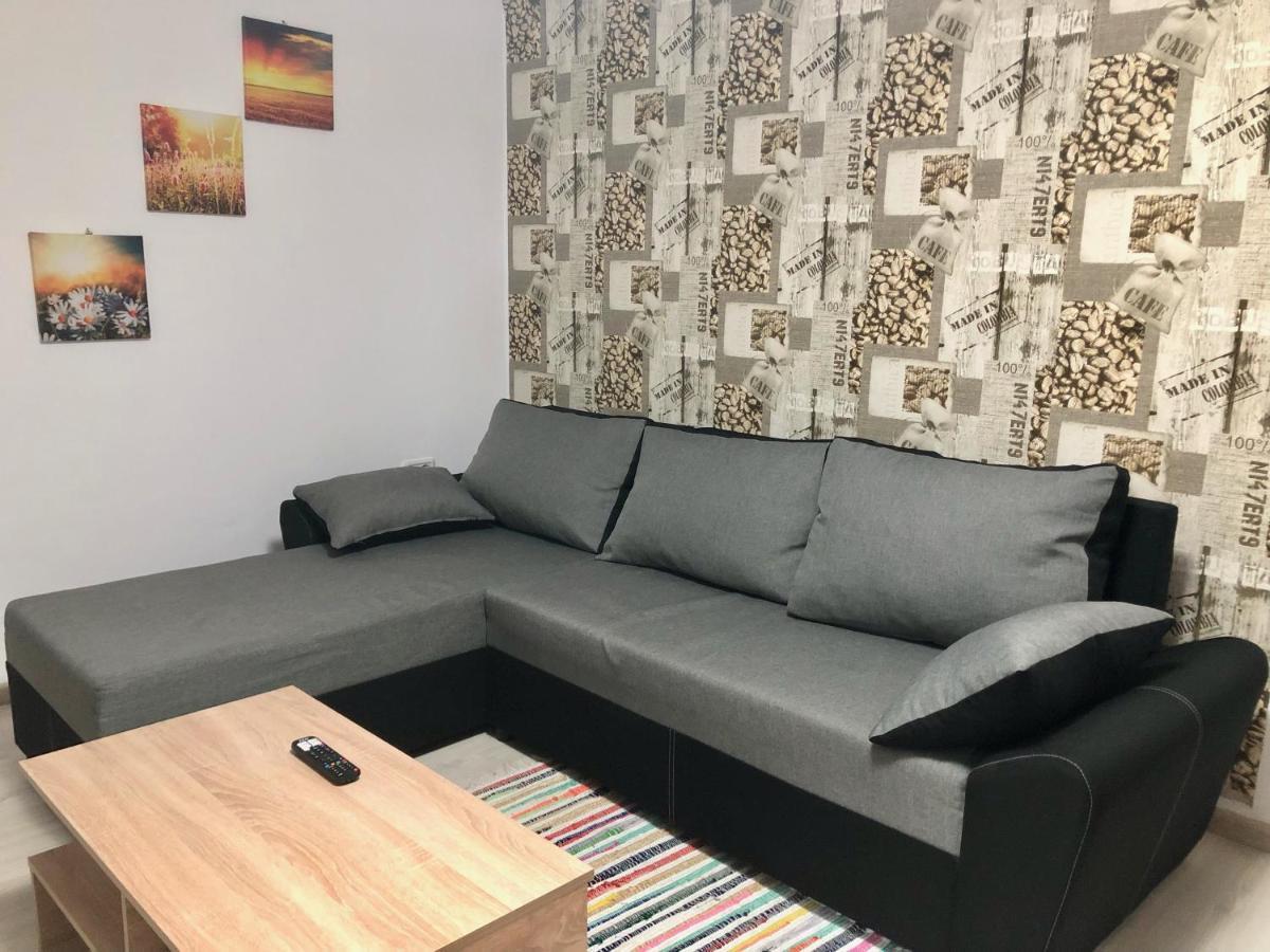 Central Park - Big Apartment - 3 Rooms - Free Parking T5 Timişoara Buitenkant foto