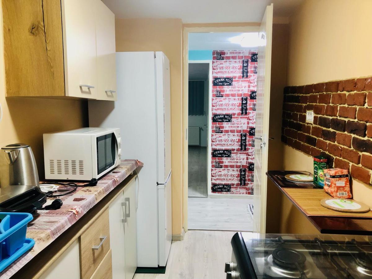 Central Park - Big Apartment - 3 Rooms - Free Parking T5 Timişoara Buitenkant foto